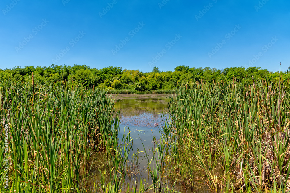 Jarkovci Lake is located near the village of Jarkovci. The lake is about two kilometers long and represents an artificial accumulation Jarkovci Lake is located near the village of Jarkovci. The lake is about two kilometers long and represents an artificial accumulation