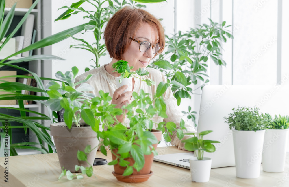 laptop woman greens plant greenhouse workplace online meeting houseplant laptop woman greens plant greenhouse workplace online meeting houseplant