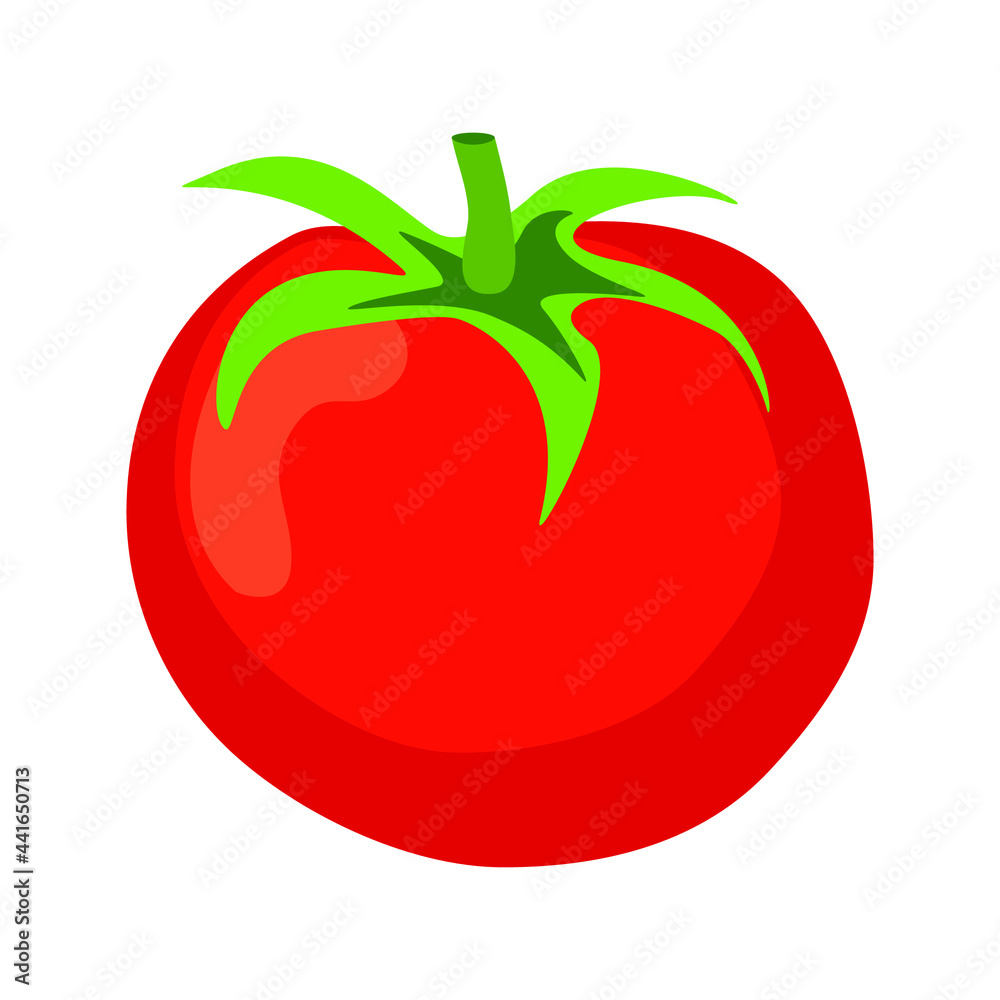 Fresh tomato isolated on white background. Vector illustration transparent png. Fresh tomato isolated on white background. Vector illustration transparent png.