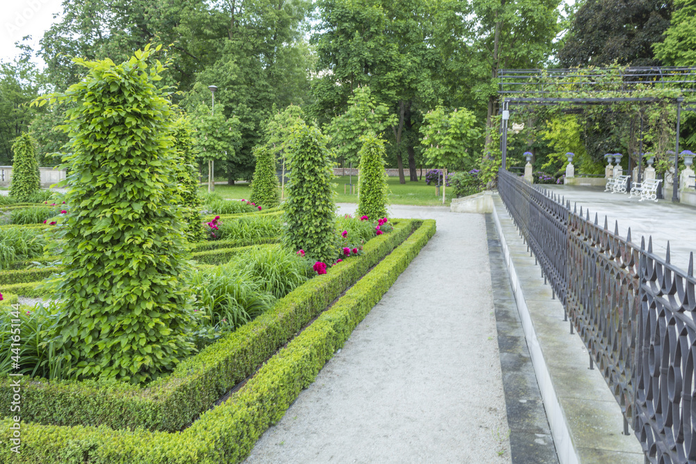 Photo of landscape design in a city park