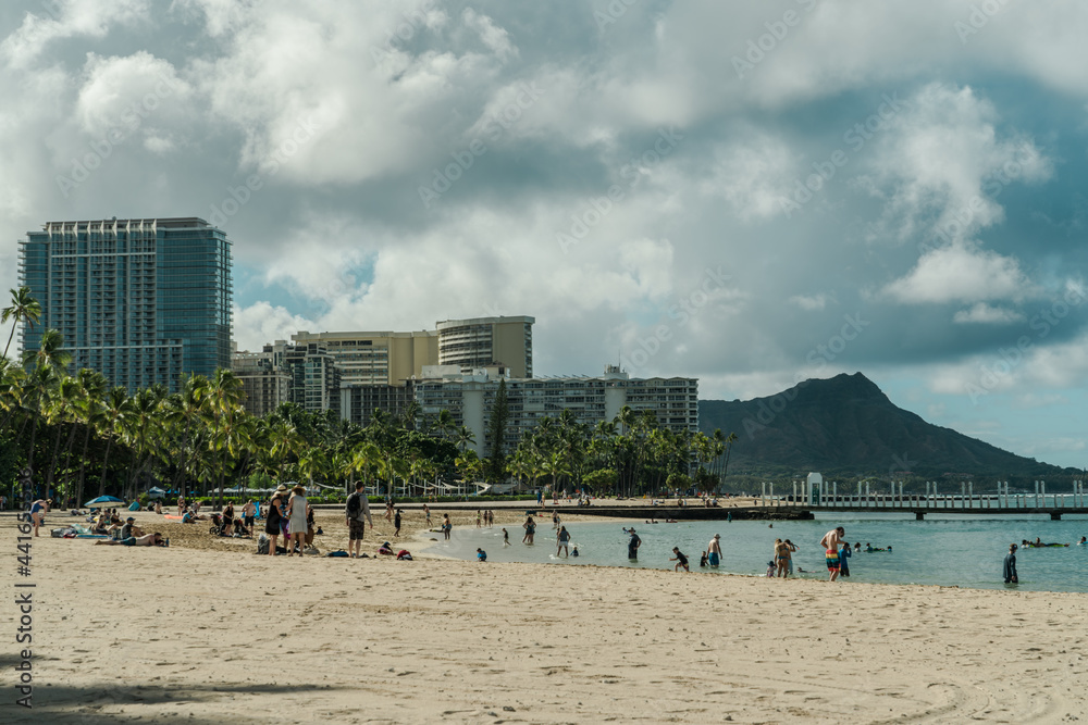 Coconut palm tree. Kahanamoku Beach, Waikiki, Honolulu, Oahu, Hawaii. 