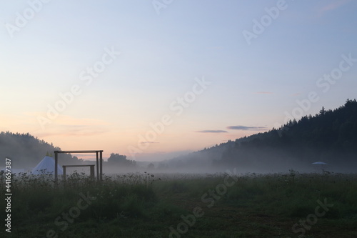 fog in the field at dawn at the open air festival forest and feeld