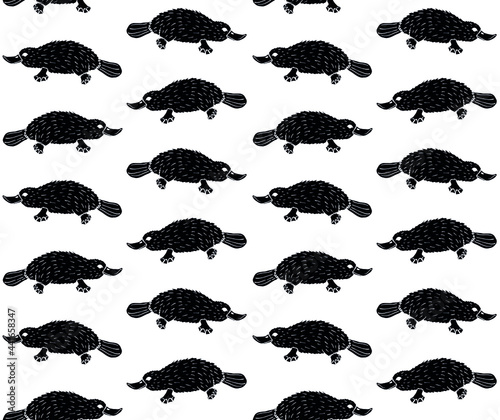 Vector seamless pattern of hand drawn doodle sketch black Platypus duckbill isolated on white background