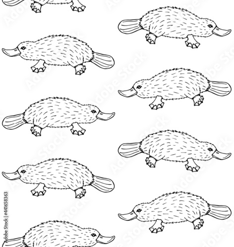 Vector seamless pattern of hand drawn doodle sketch Platypus duckbill isolated on white background