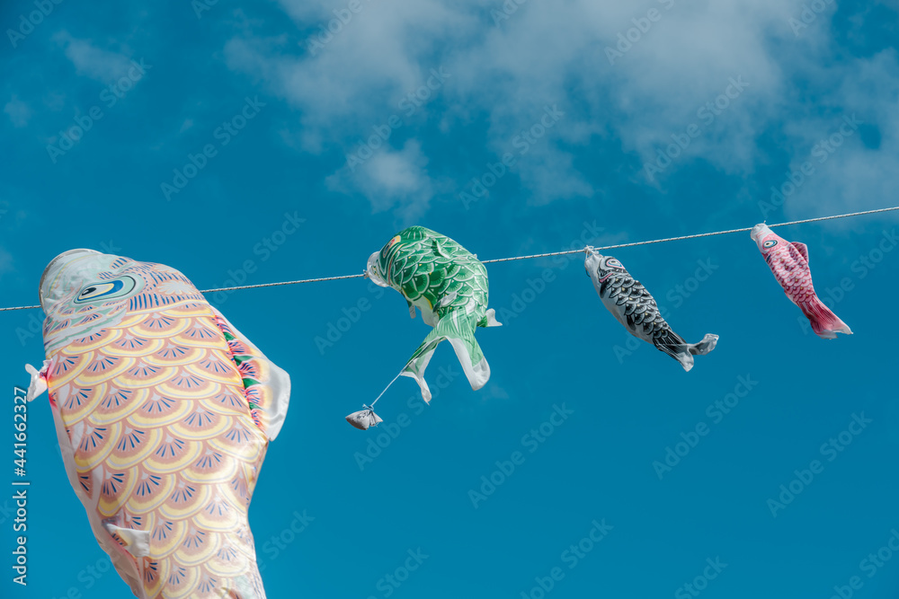 Koinobori, meaning "carp streamer" in Japanese, are carpshaped