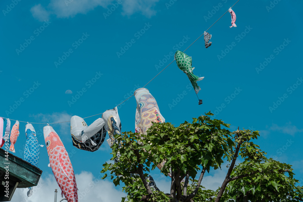 Koinobori, meaning "carp streamer" in Japanese, are carpshaped