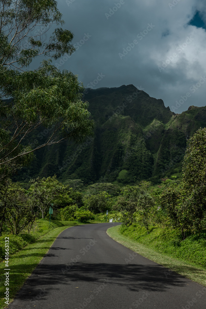 Koolau Range, Hoomaluhia Botanical Garden, Honolulu, Oahu, Hawaii. Koʻolau Range is a name given to the dormant fragmented remnant of the eastern or windward shield volcano of  Oahu