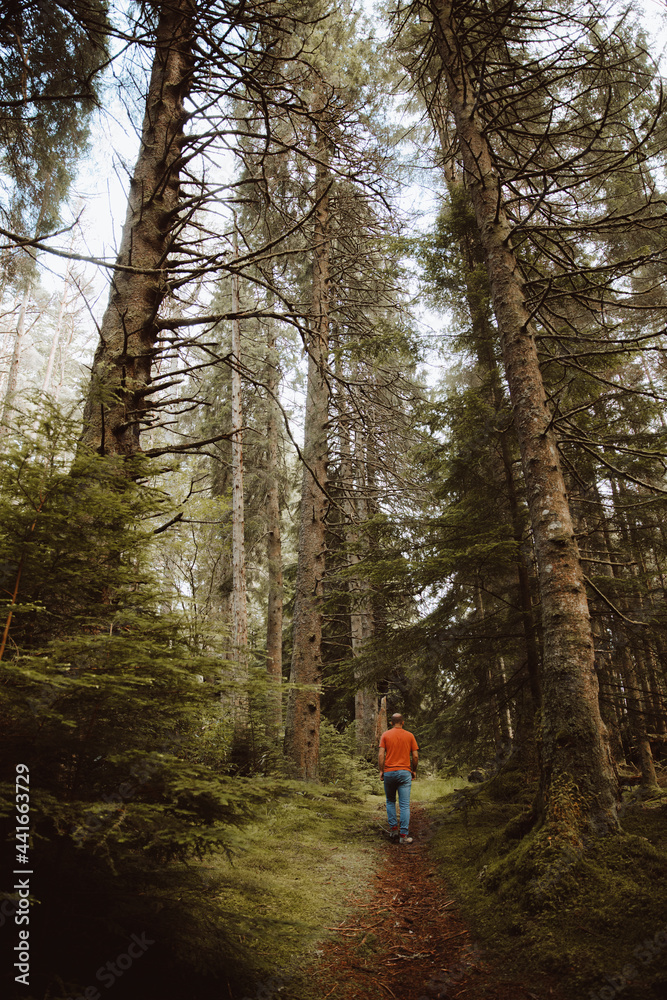 Anonymous traveler walking in forest Anonymous traveler walking in forest