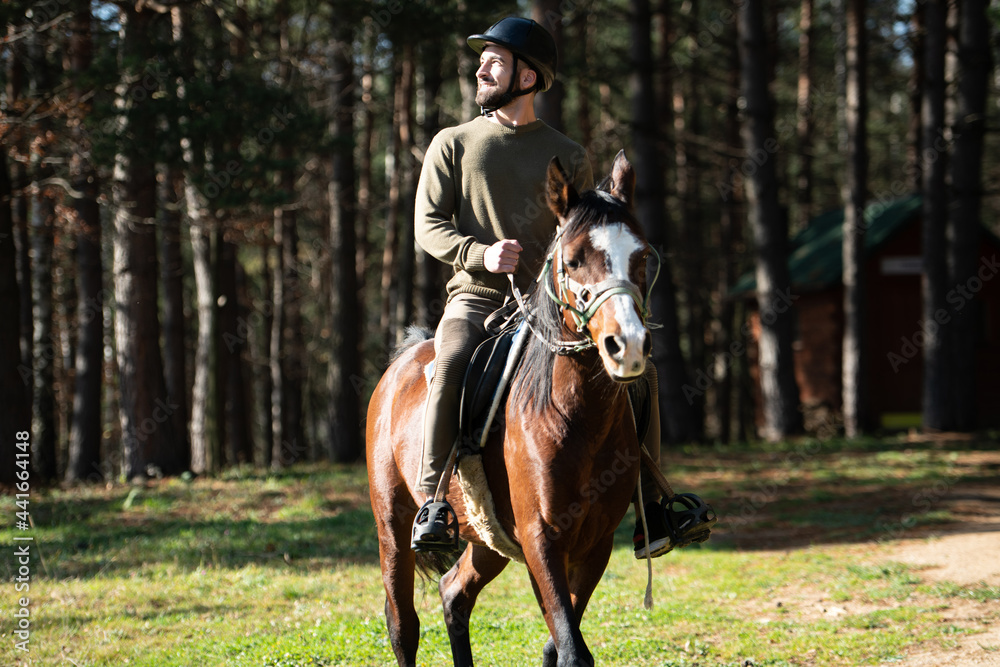 Young Man Sitting on a Horse Outdoors Young Man Sitting on a Horse Outdoors