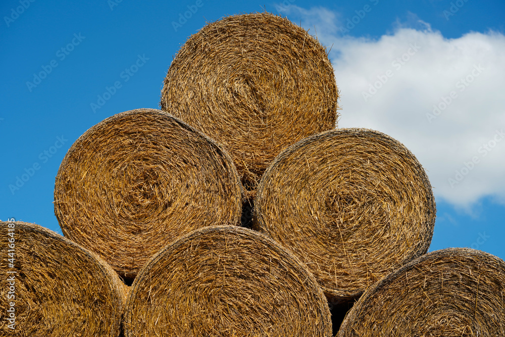 Hay stack piles in rural area forms geometric shapes Hay stack piles in rural area forms geometric shapes