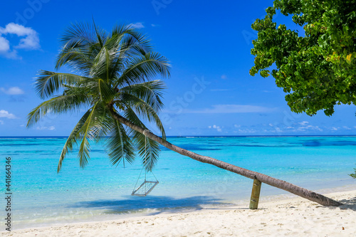 Swing hanging from palm tree beside beach, South Ari Atoll, Maldives