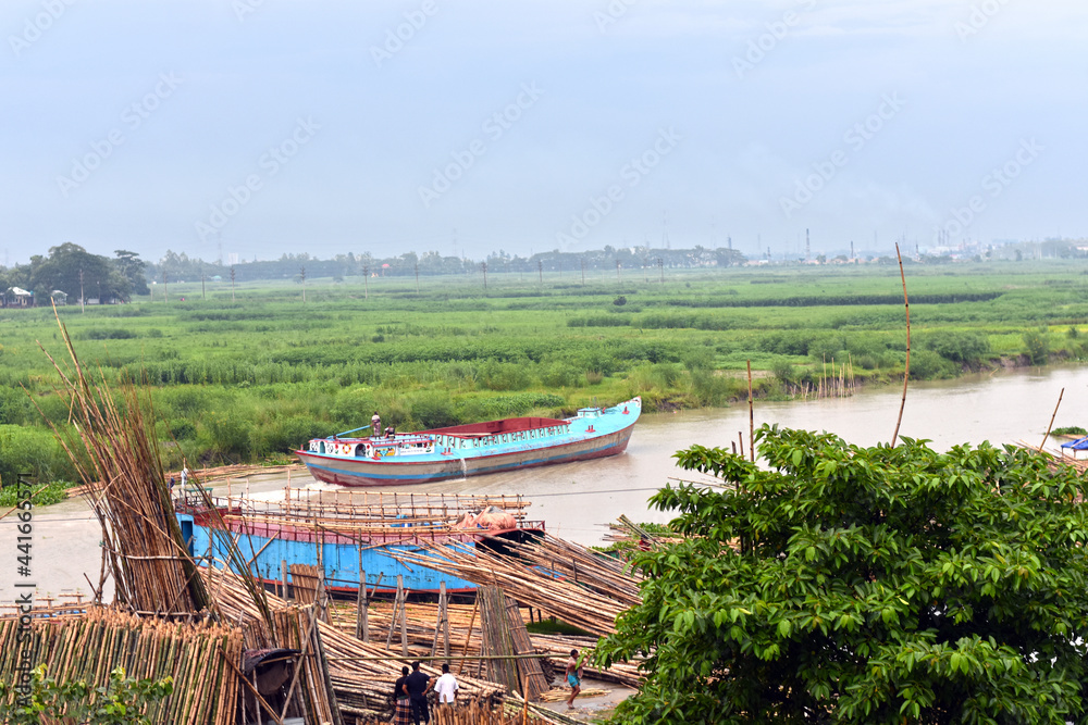 rice field