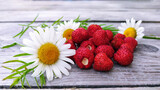 Garden strawberry close-up. Red berries lie on a wooden background among field daisies.
