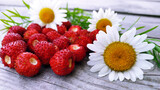 Garden strawberry close-up. Red berries lie on a wooden background among white field daisies.