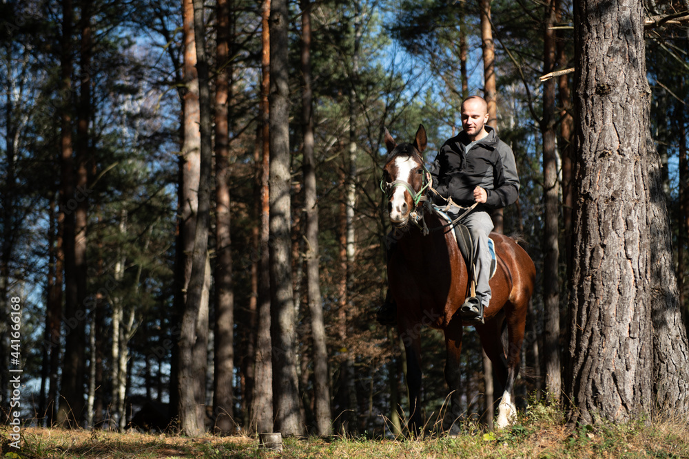 Man Riding a Horse in Forest Man Riding a Horse in Forest