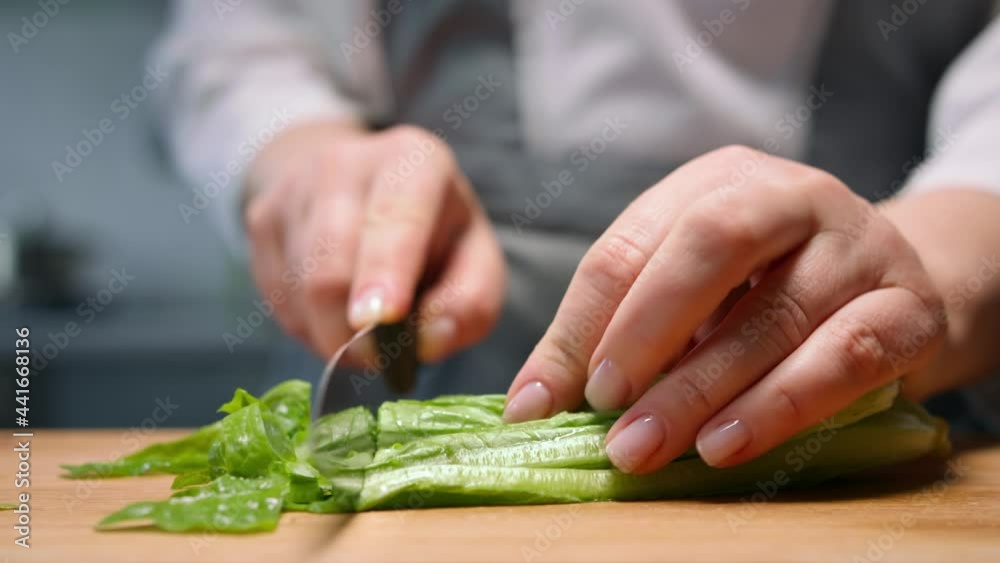 Female hands cutting fresh green salad leaves. Close up Female hands cutting fresh green salad leaves. Close up