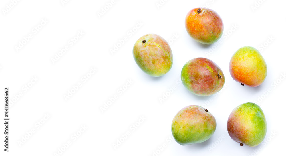 Tropical fruit, Raw mango on white background. Tropical fruit, Raw mango on white background.