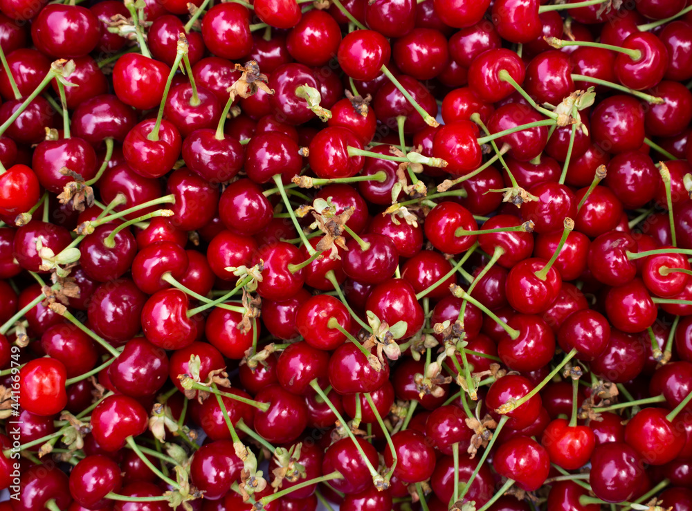 Background of evenly spread cherries. Top view on fresh red berries. Background of evenly spread cherries. Top view on fresh red berries.