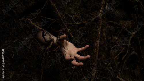 Obraz na plátně Human hand crawling out of the ground