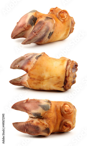 cow hooves on white background 