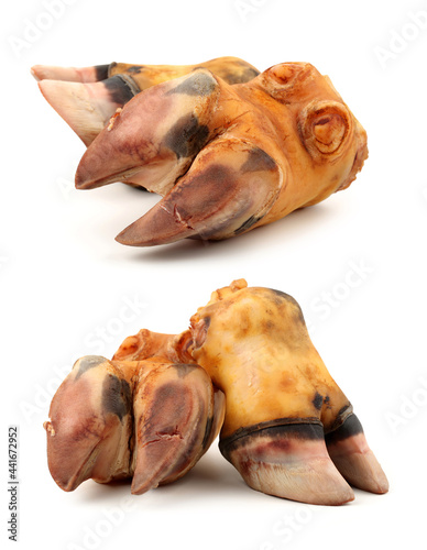 cow hooves on white background 