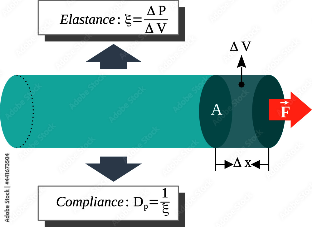 Vecteur Stock Elastance and Compliance-Compliance is the volume change due  to a unit pressure change and the elastance (elastic resistance) is the  reciprocal of compliance | Adobe Stock