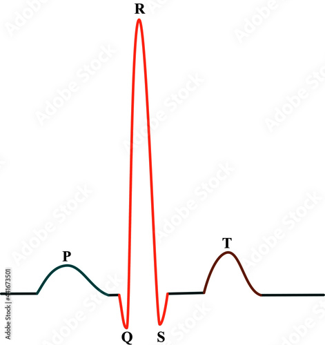 The normal electrocardiography in humans – Heartbeat line
