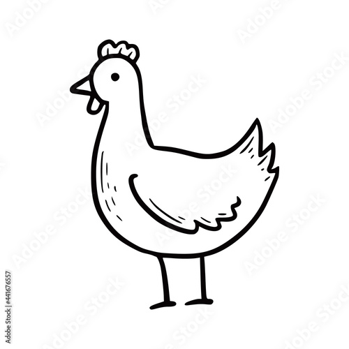 Hand drawn farm chicken. Doodle sketch style. Drawing line simple chicken icon. Isolated vector illustration.