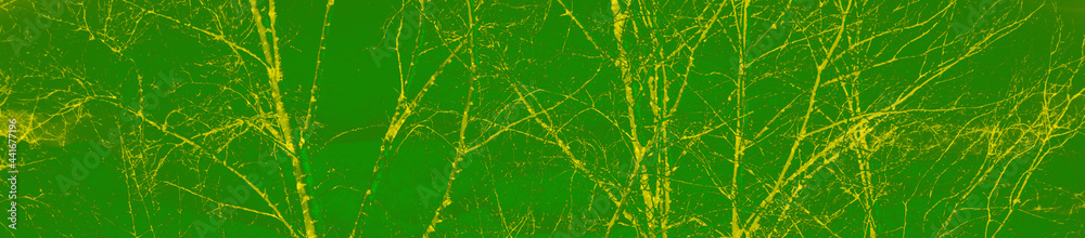 Obraz premium abstract bright green and yellow colors background for design
