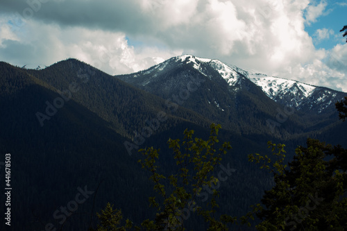 Olympic National Park