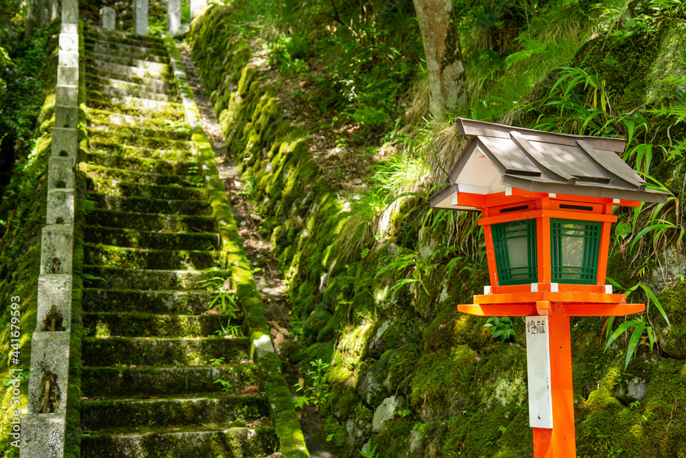 京都観光地-鞍馬寺から貴船神社へ行く山道 京都観光地-鞍馬寺から貴船神社へ行く山道