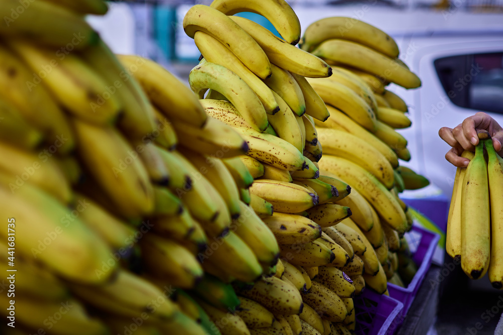 bunch of bananas on market