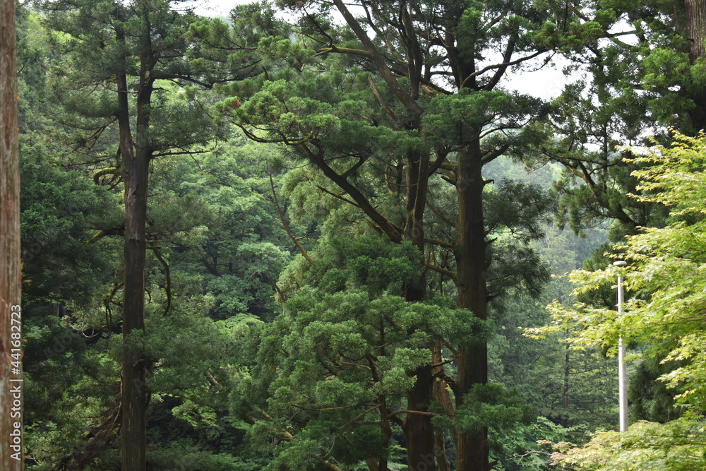 日本 群馬のパワースポット 榛名神社 夏の風景 日本 群馬のパワースポット 榛名神社 夏の風景