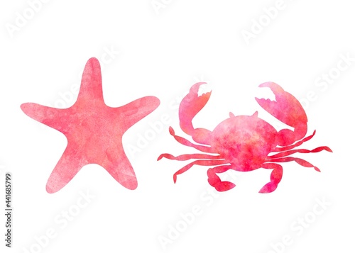 Set of two aquarelle red sea animals on white background hand-drawn digital illustration: starfish and crab
