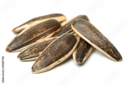 Obraz na plátně Sunflower seeds isolated on white background