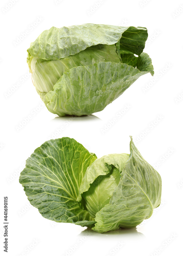 Obraz premium cabbage on white background
