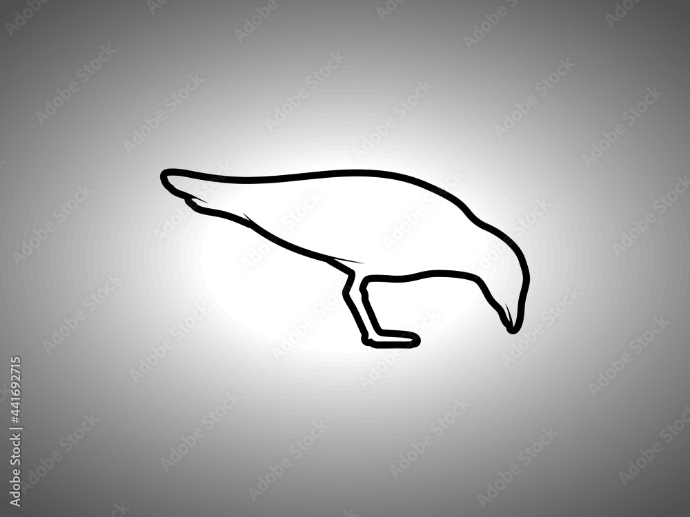 Fototapeta premium Seagull Silhouette. Isolated Vector Animal Template for Logo Company, Icon, Symbol etc