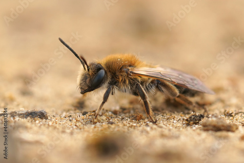 Close-up shot of a female mellow miner with blurred background.