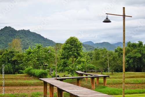 Obraz na płótnie The walkway is made of longwoods over green fields. Small farm in Chiang Rai, Thailand. w salonie