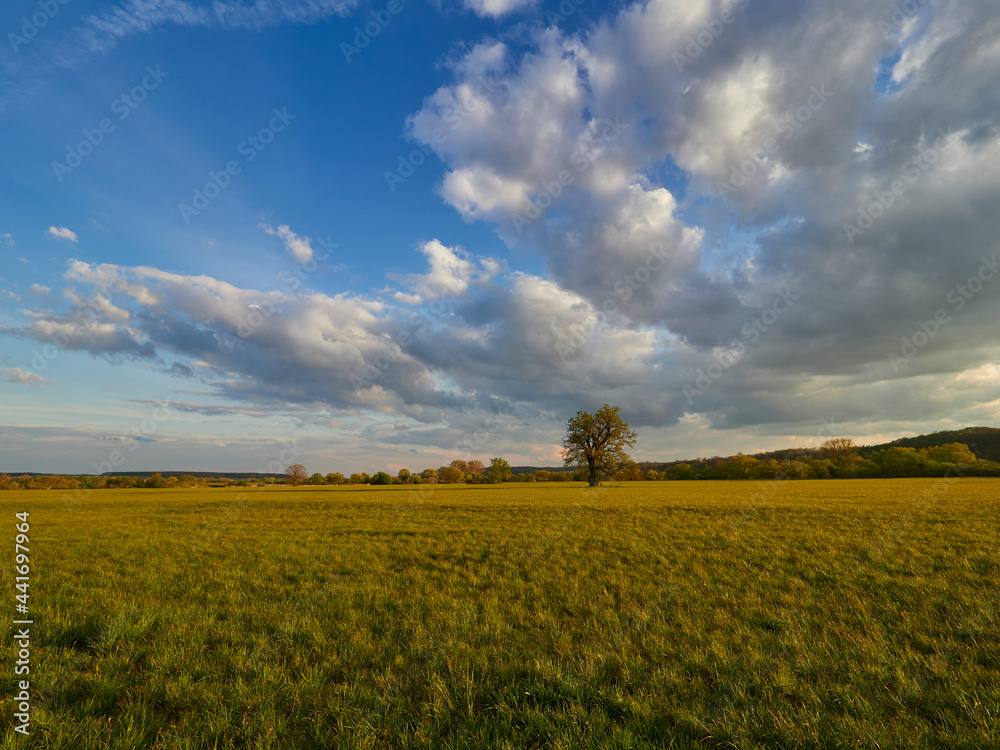 Obraz premium Sonnenuntergang im Vogelschutzgebiet NSG Garstadt bei Heidenfeld im Landkreis Schweinfurt, Unterfranken, Bayern, Deutschland