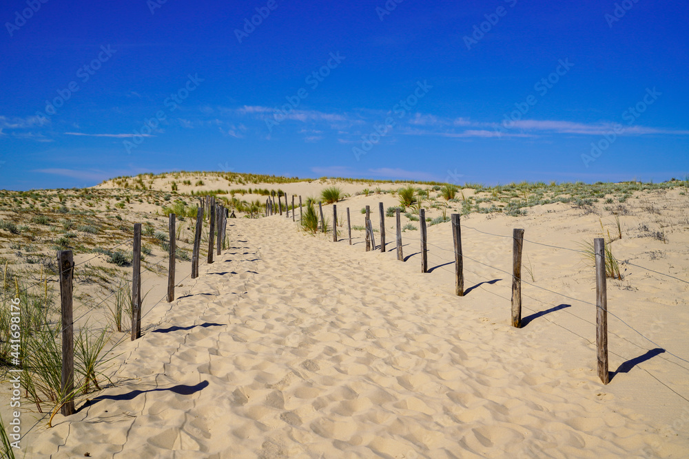 Beach sand Path fence Through Dunes access sea in Lacanau ocean atlantic in France