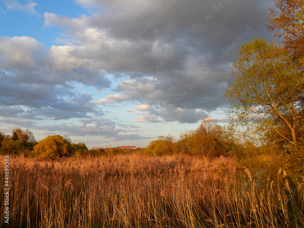 Sonnenuntergang im Vogelschutzgebiet NSG Garstadt bei Heidenfeld im Landkreis Schweinfurt, Unterfranken, Bayern, Deutschland Sonnenuntergang im Vogelschutzgebiet NSG Garstadt bei Heidenfeld im Landkreis Schweinfurt, Unterfranken, Bayern, Deutschland