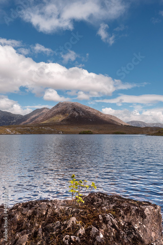 Lake Derryclare Lough in Connemara, county Galway, Ireland. Irish nature landscape. Beautiful scene with water, mountains and blue cloudy sky. Nobody. Popular tourist landmark. Vertical image photo