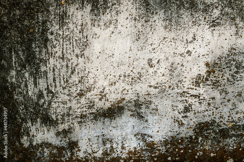 Tytuł: Porysowana, skorodowana tekstura, tło starego muru ogrodzeniowego. Kolory korozji w stonowanych odcieniach szarości.