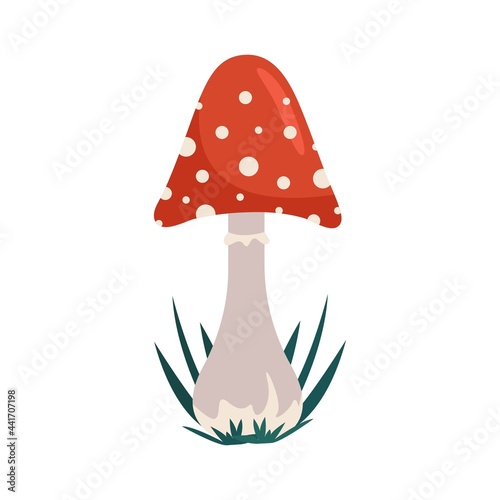 Red toadstool mushroom in flat style, vector illustration, isolate.