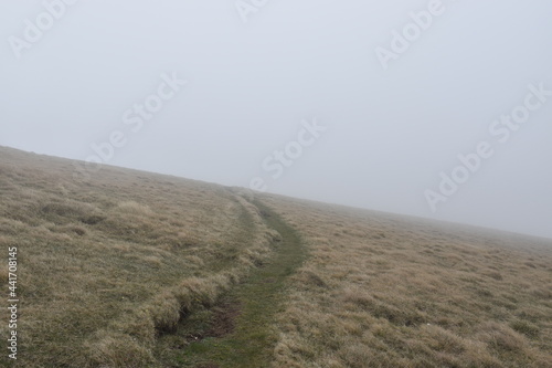 path in the field