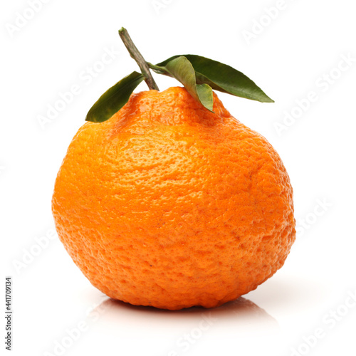  tangerine on a white background 