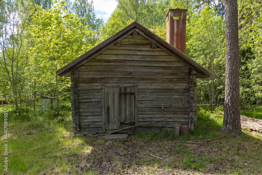 Old wooden hut in the forest on summer day