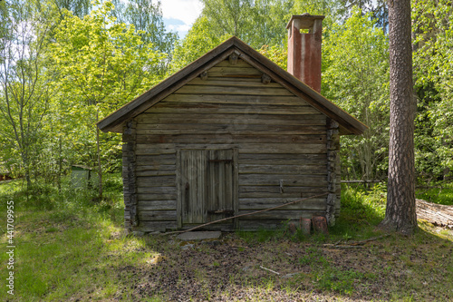 Old wooden hut in the forest on summer day