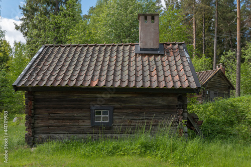 Old wooden hut in the forest on summer day